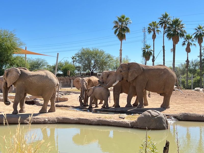 Reid Park Zoo - Tucson, Arizona