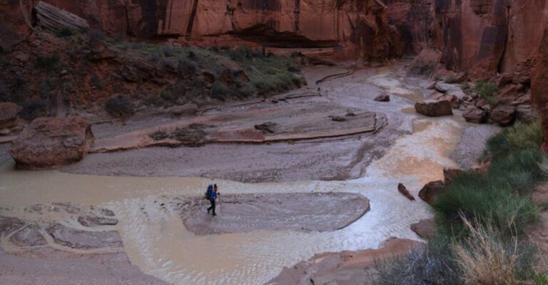 Arizona’s Canyon and Desert Landscapes That Leave a Lasting Impression