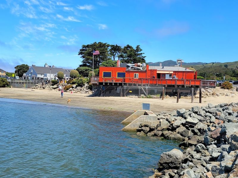 Why Locals and Tourists Keep Coming Back