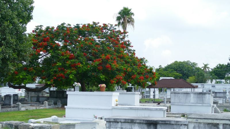 Artistic Metalwork and Monument Structures
