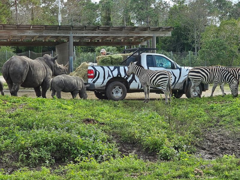 Tips for Planning Your Visit