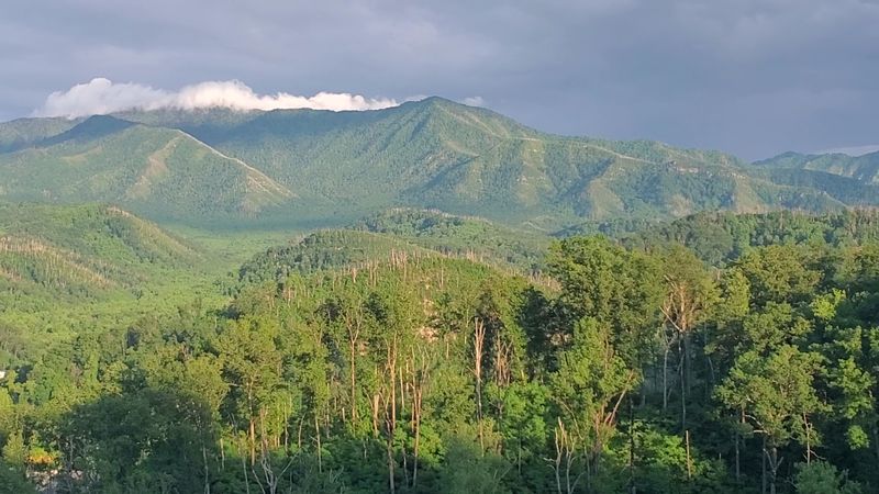 Scenic Views of the Great Smoky Mountains