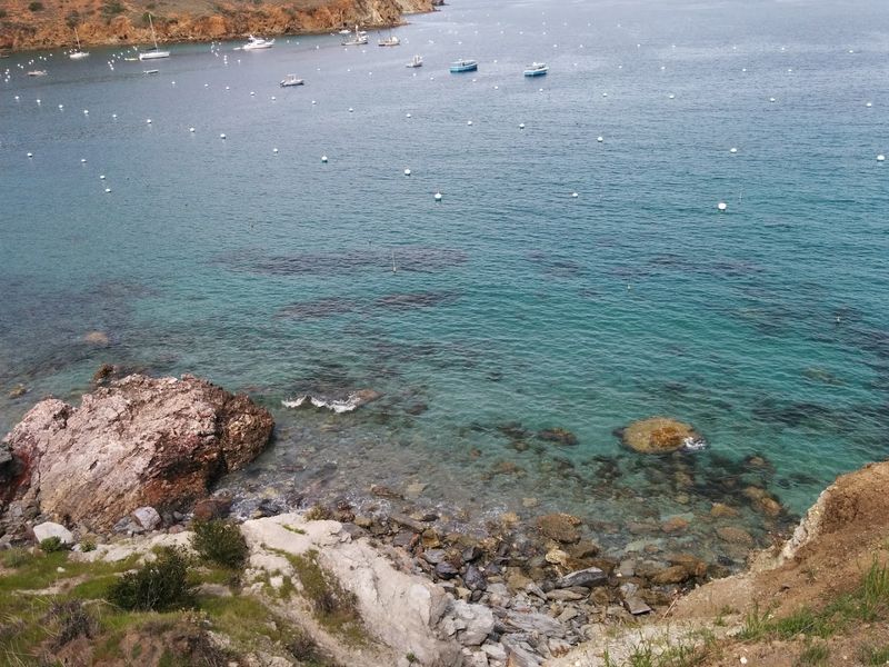 Avalon: The Charming Main Town