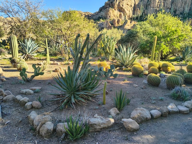 Wildlife Encounters That Will Make Your Day