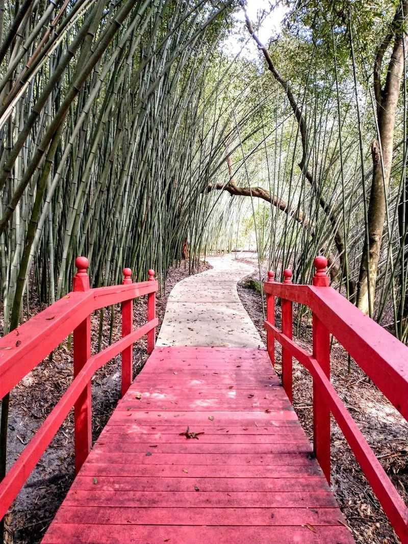 Dog-Friendly Trails for Four-Legged Explorers