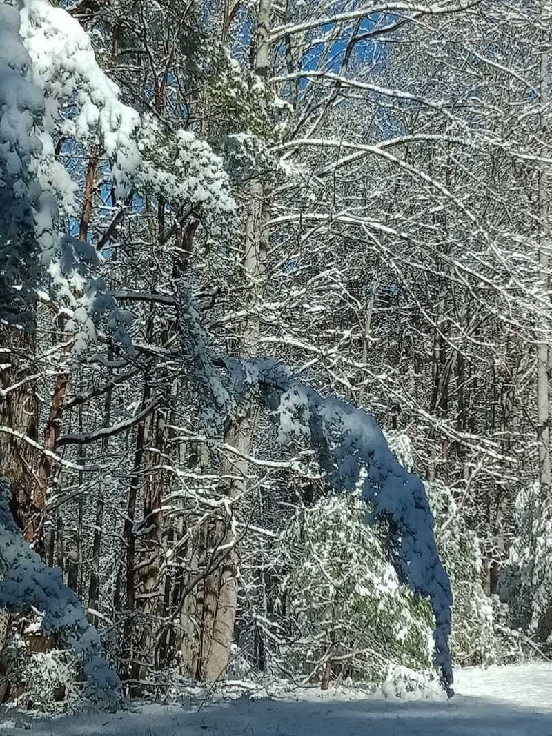 Wildlife and Nature That Inspire Daily Wonder