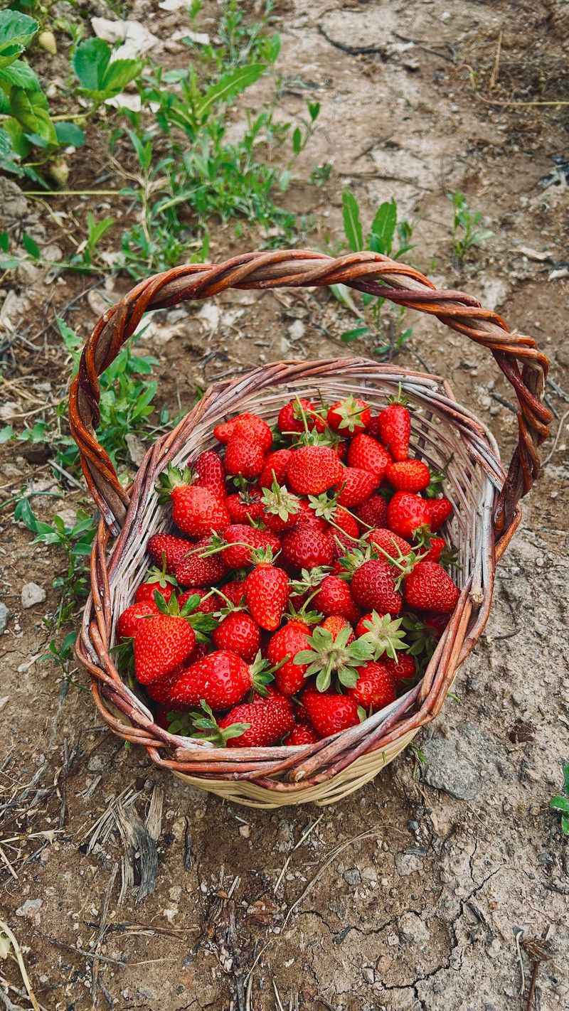 22 Foods That Can Turn a Basic Snack Into Something Better 12 Strawberries