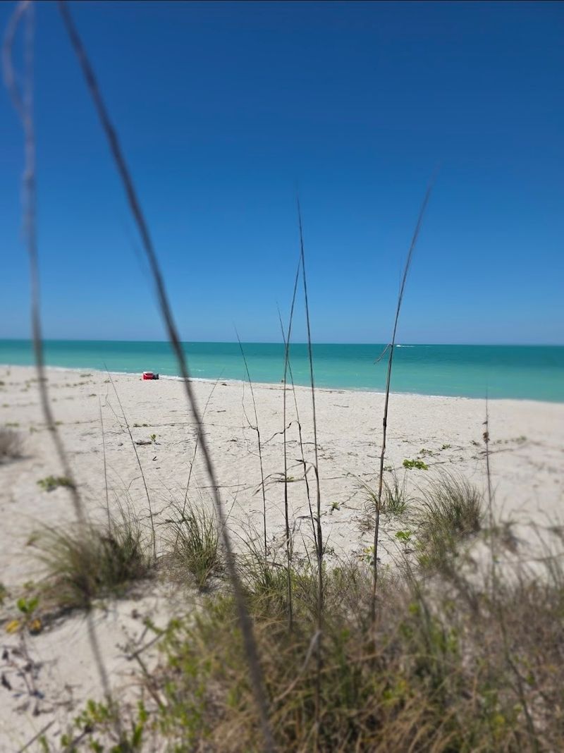 10 Florida beach escapes that feel quieter, prettier, and more special than the usual tourist spots 8 Cayo Costa State Park - Captiva, Florida
