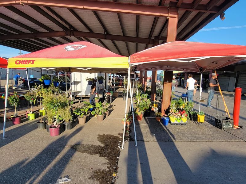 Jewelry Deals That Shine Brighter Than the Mall Price Tags