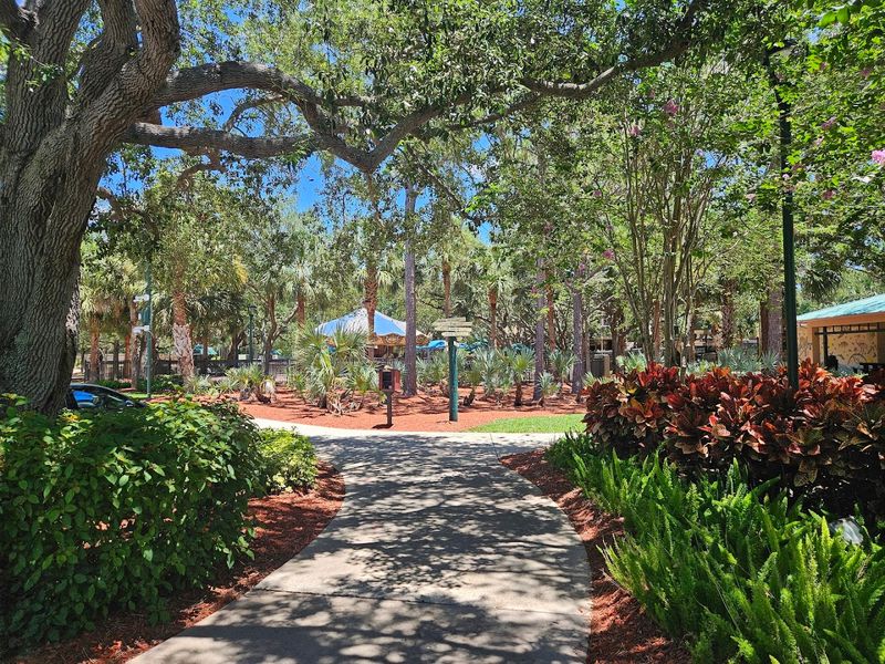 Picnic Tables and Family Gathering Spaces