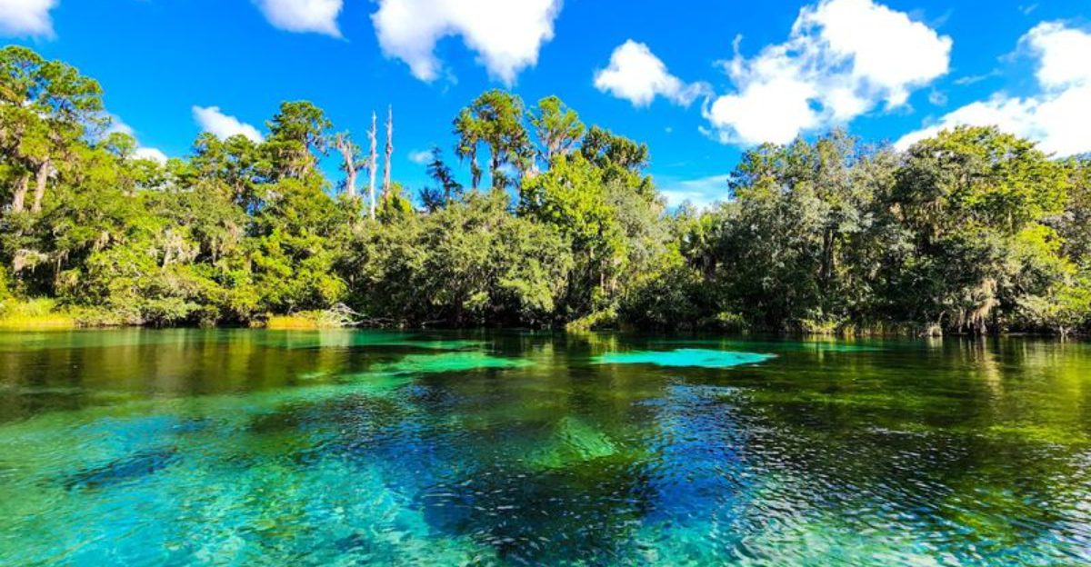 Beautiful Florida State Parks That Look Like National Parks