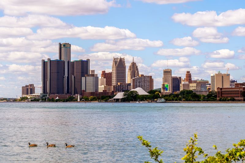 Wildlife Watching: Deer, Herons, and More