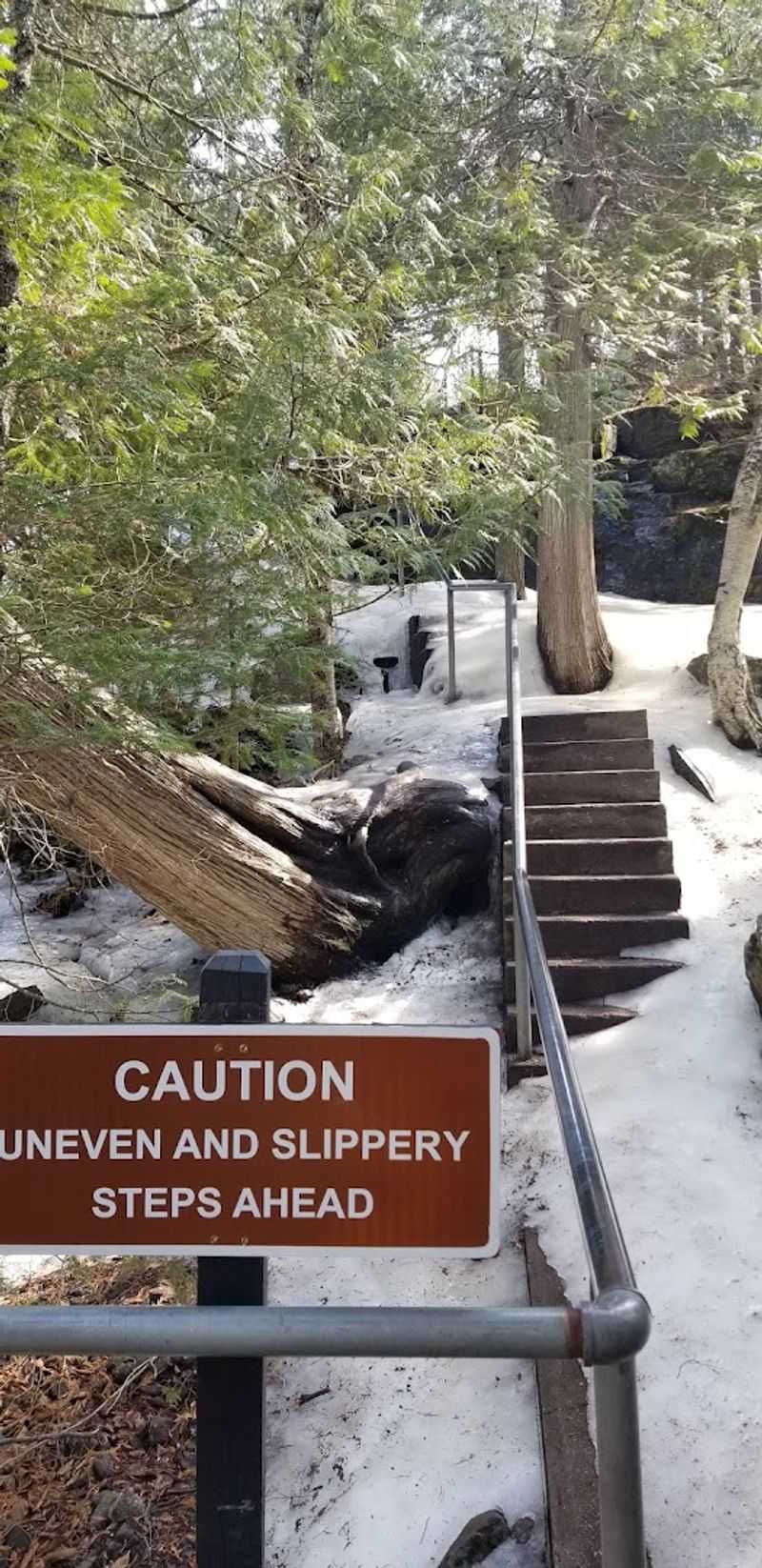 Tips for Getting the Most Out of Your Visit