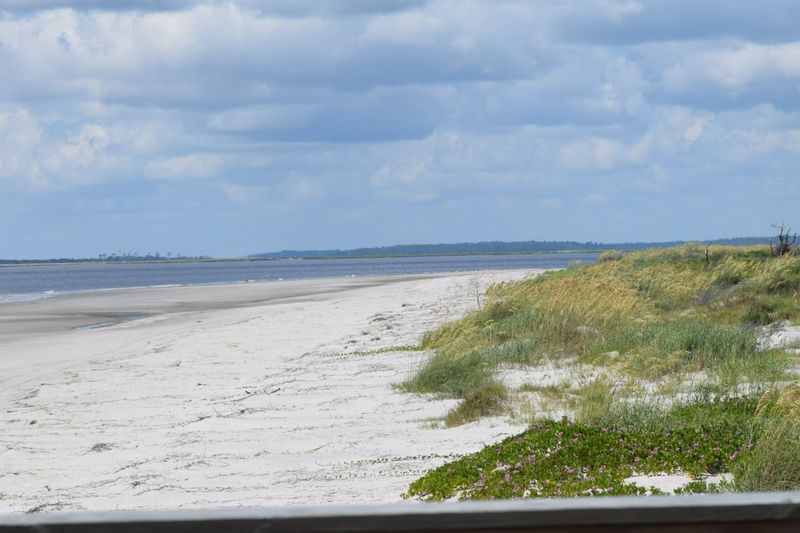Why Nanny Goat Beach Deserves a Spot on Your Georgia Bucket List