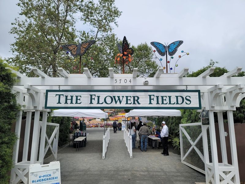 Buying Tickets in Advance: What You Need to Know