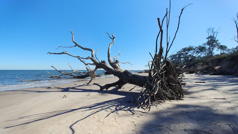 How Boneyard Beach Compares to Other Florida Beaches