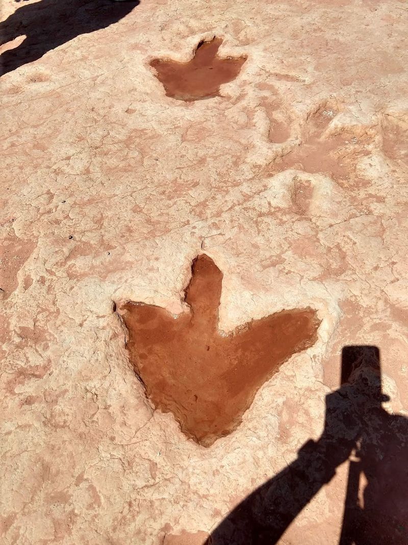 This Arizona trail is like a real-life Jurassic Park with actual dinosaur tracks 11 Standing on the Same Ground as 200-Million-Year-Old Creatures