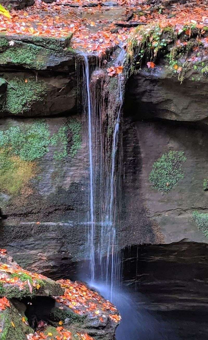 Hidden Waterfalls in Ohio That Are So Scenic You’ll Think You’re Dreaming 14 Little Lyons Falls - Perrysville, Ohio