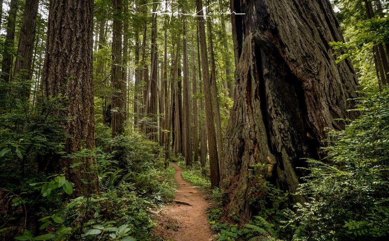 75 Miles of Trails for Every Type of Hiker