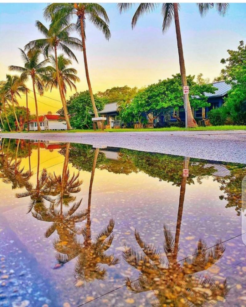 Incredible Seafood Restaurants the Whole Family Will Love