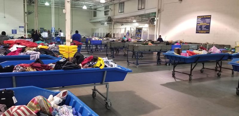 Bin Shopping Experience Unlike Any Regular Store