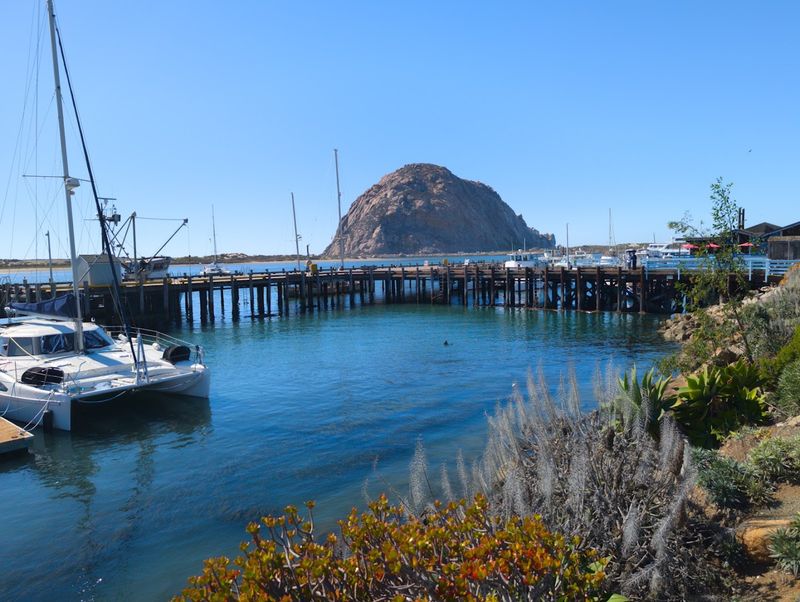 Museum of Natural History: Small Size, Big Stories