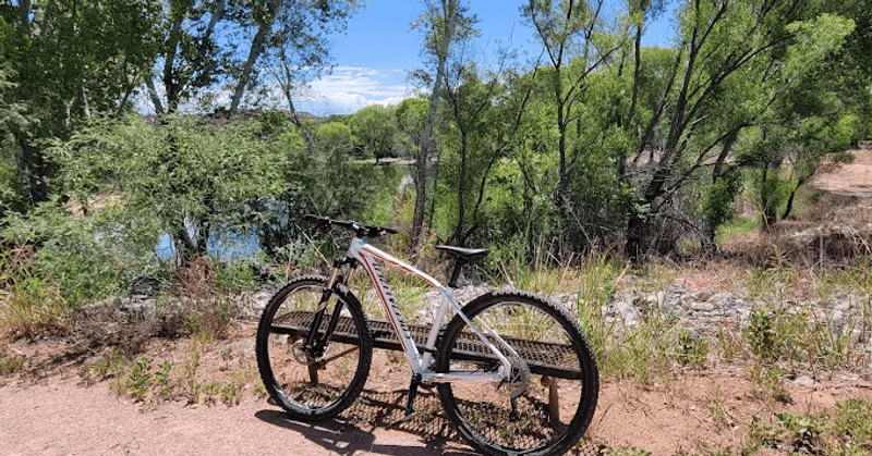 Mountain Biking Trails That Thrill Two-Wheel Fans