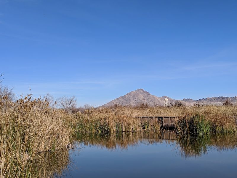 A Hidden Oasis That Even Vegas Locals Don't Know About