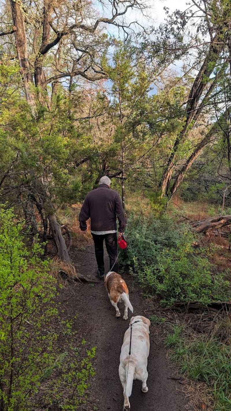 Scenic Hiking Trails for Every Fitness Level