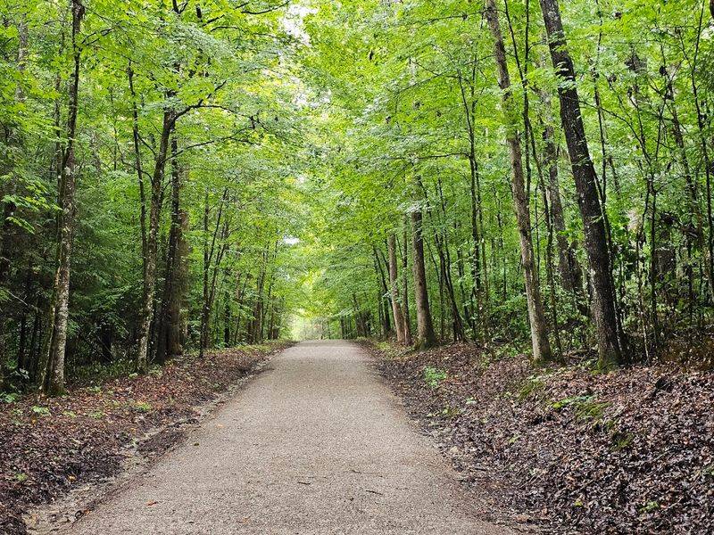 The Butterfly Garden and Native Plant Area Near the Parking Lot