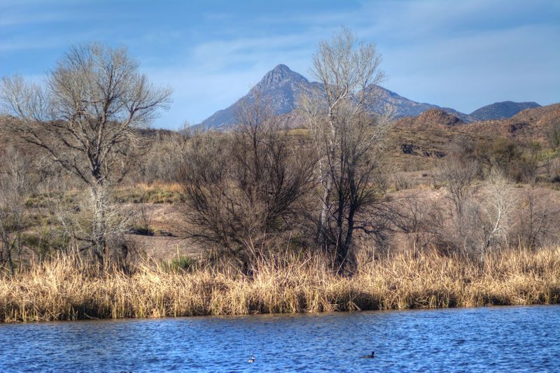 Hiking Trails With Rugged Desert Terrain Worth Every Step