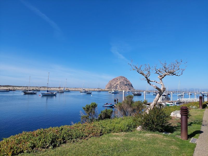 Bird Watching Paradise: A Feathered Spectacle Year-Round