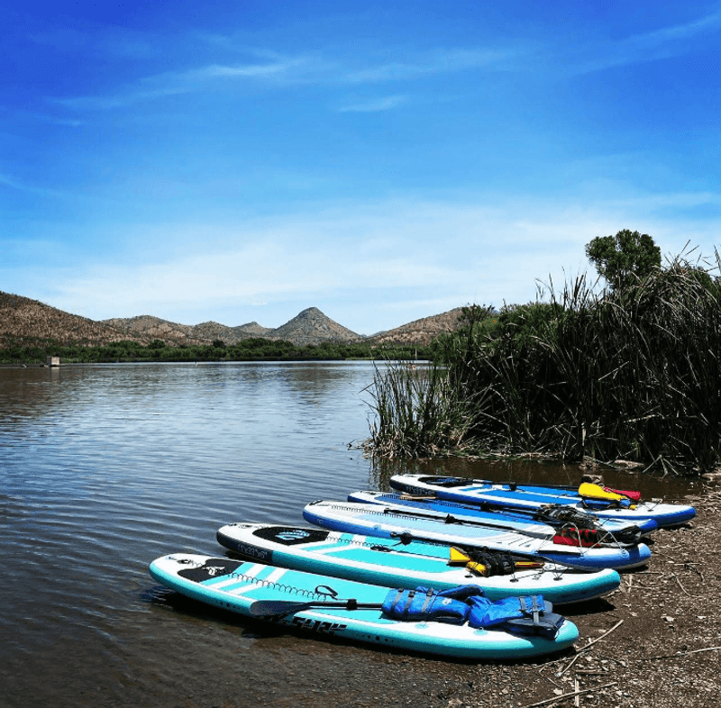 Swimming and Paddleboarding in a No-Wake Zone