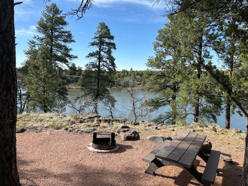 Picnic Areas With Views Worth Every Bite