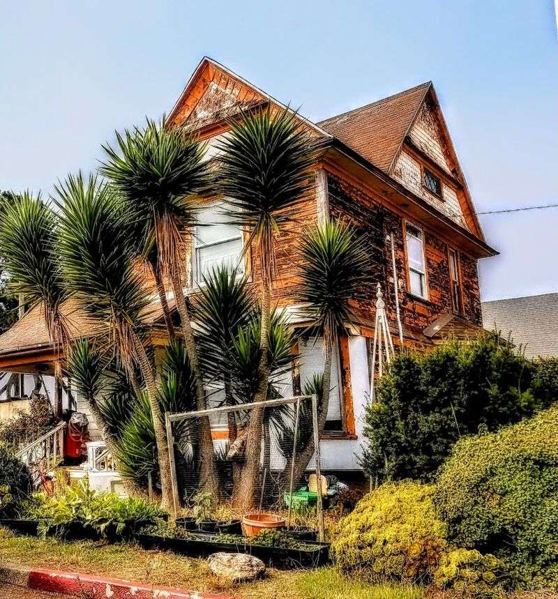 Fort Bragg - California