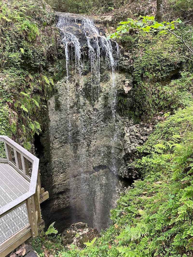 Florida Spots Locals Love That Most Visitors Overlook 18 Falling Waters State Park, Chipley, Florida