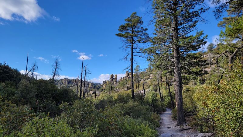 Camping Under the Stars in a Remote Arizona Wilderness