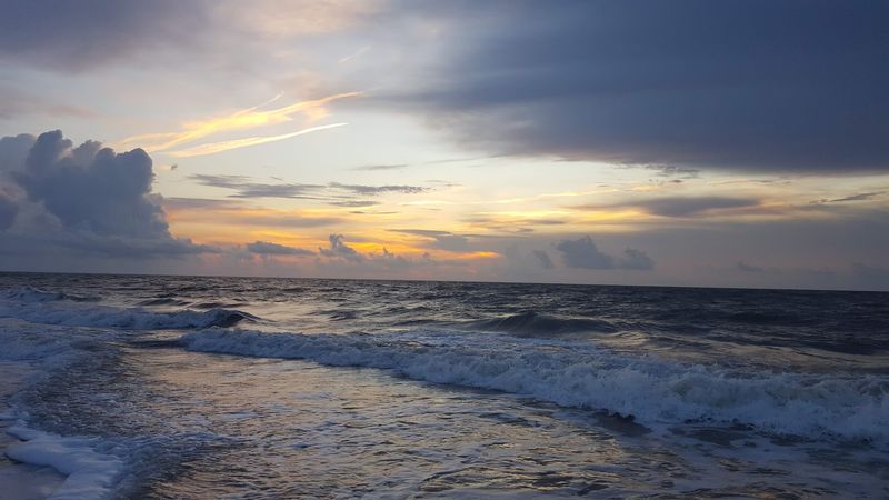 Bonus Local Tip: Explore Georgia's Seafood Trail