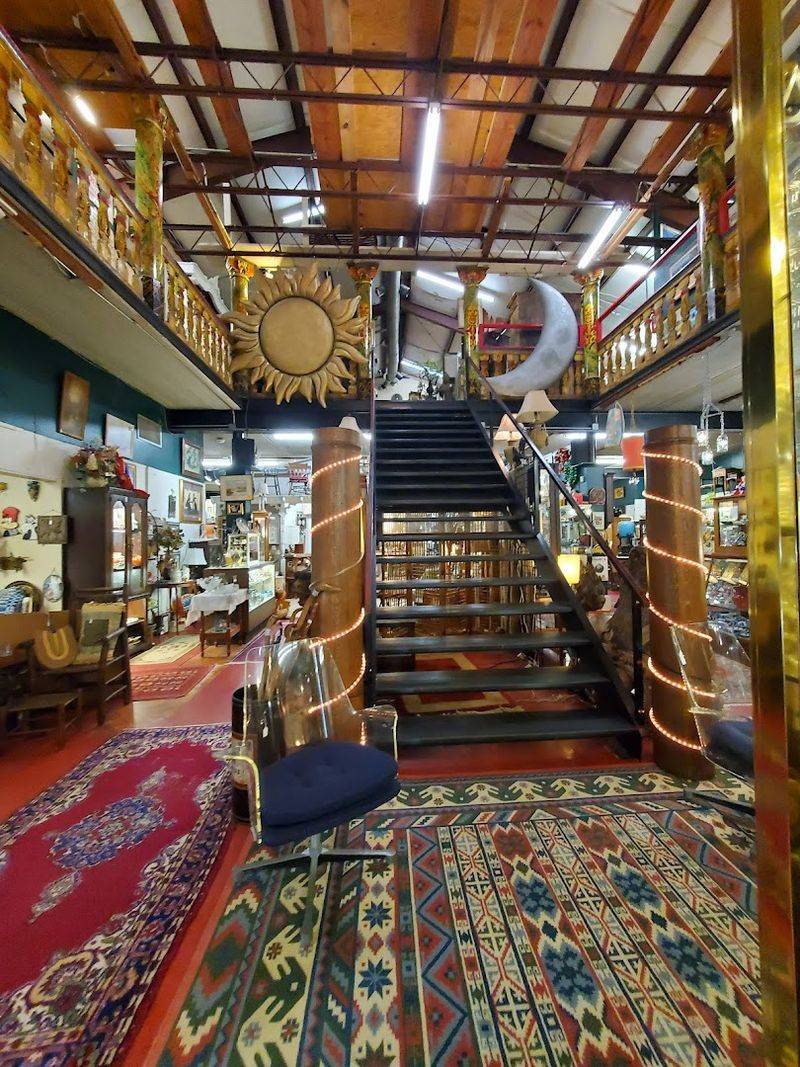 Pet-Friendly Shopping and a Welcoming Atmosphere