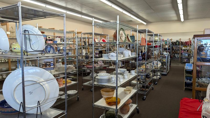 Community Volunteers Who Keep the Magic Going