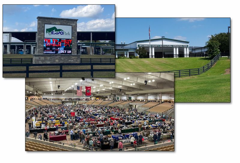 Amazing Food Trucks to Fuel Your Shopping Day