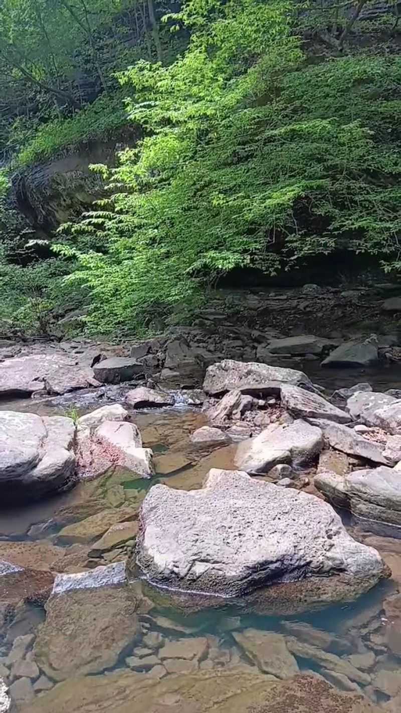 The Creek Crossings and Rocky Streams