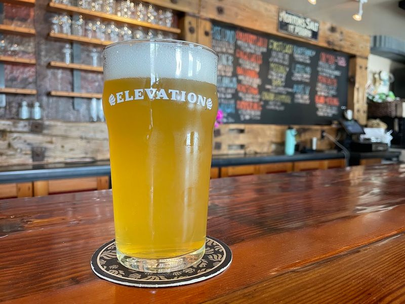 Elevation Beer Company Taproom & Kitchen - Poncha Springs, Colorado