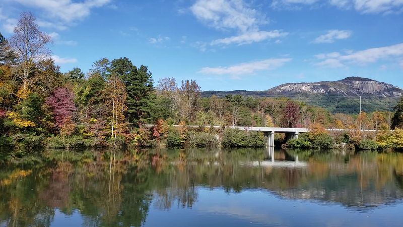 Wildlife Watching Throughout the Park