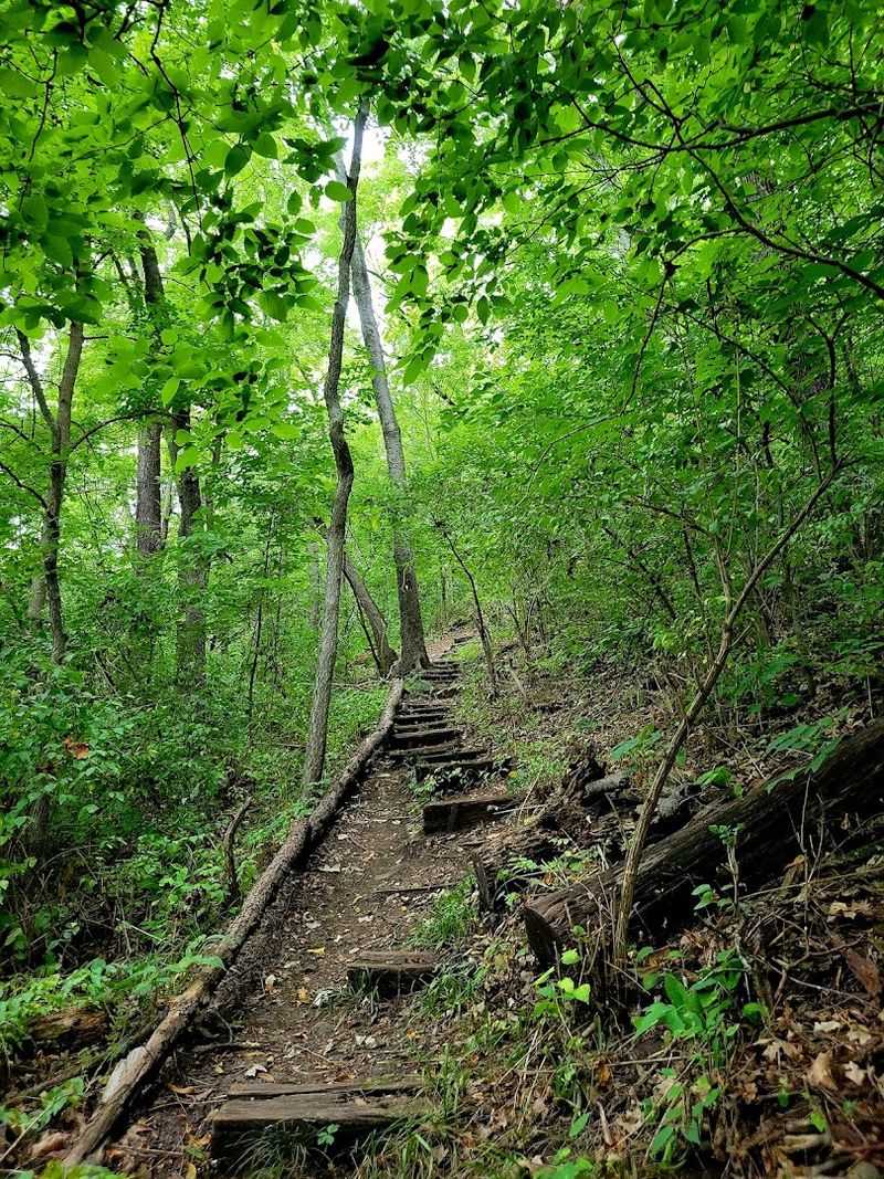 Walk-In Primitive Camping Sites