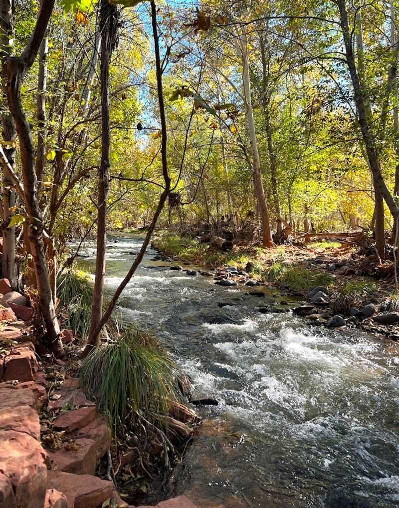 Oak Creek: A Peaceful Waterway Running Through the Park