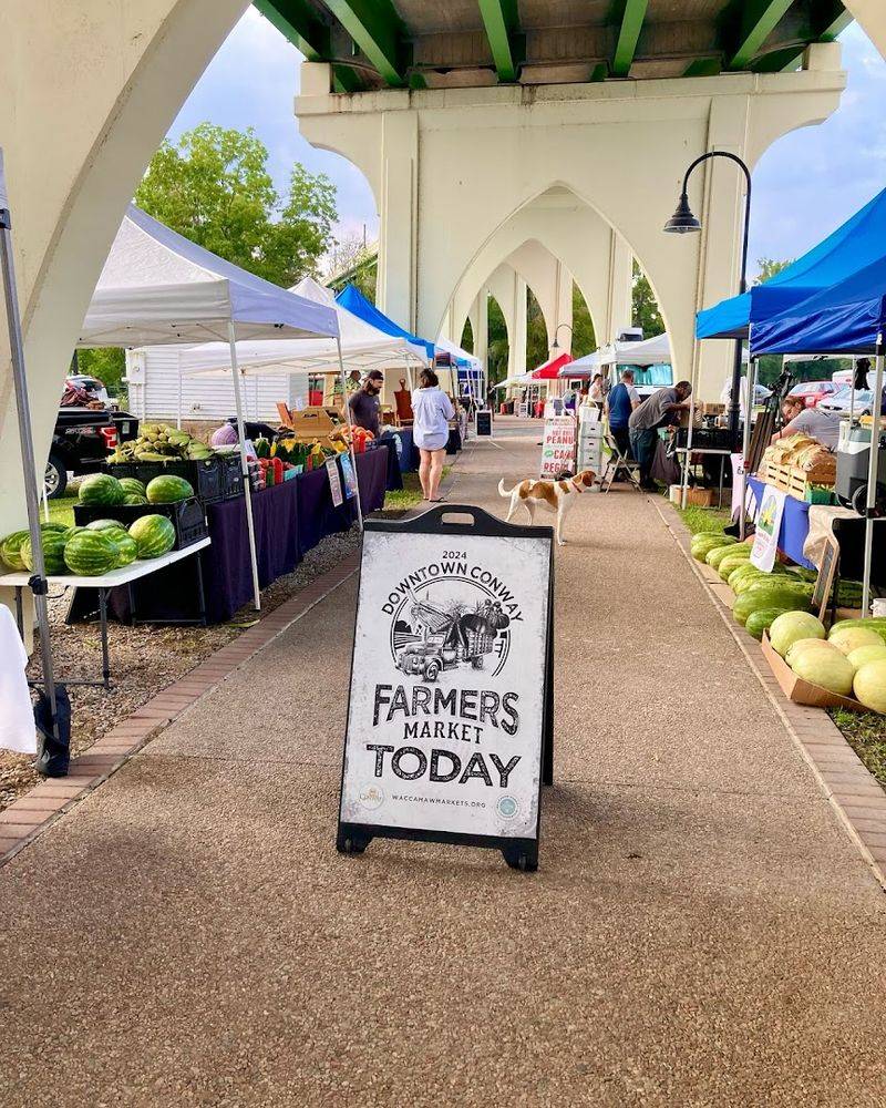 Conway Farmers Market - Conway, South Carolina