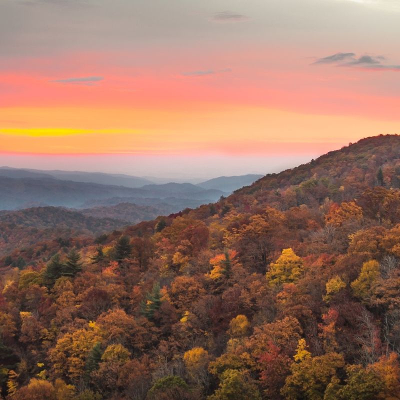 Plan your visit around fall color