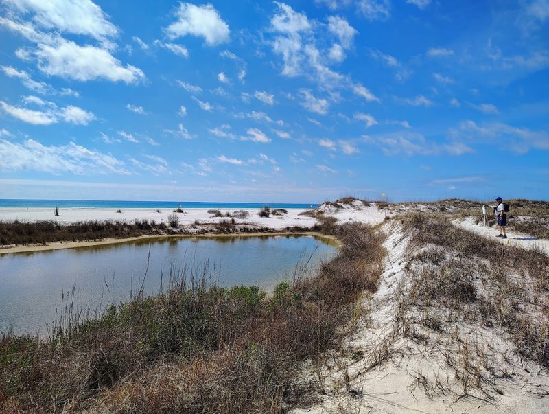 Camp Helen State Park - Panama City Beach, Florida