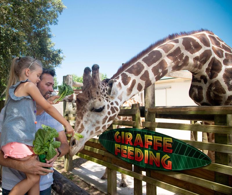 Gulf Breeze Zoo - Gulf Breeze, Florida